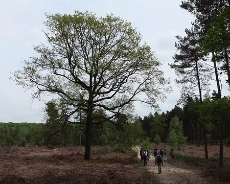 IMG_2762 Le jury a voté NON à l’unanimité, nous resterons donc dans le droit chemin :-)
