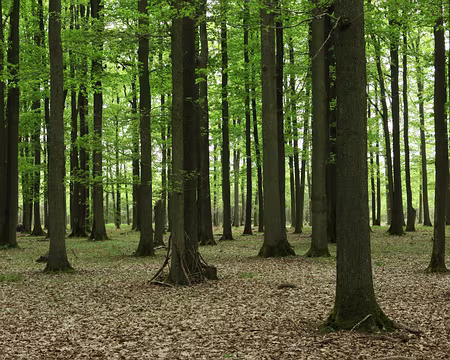 IMG_2791 C’est bon, chui cachée :-)