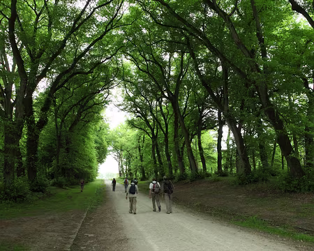 IMG_2794 Rambouillet en vue.
