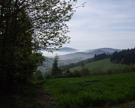 014 Brouillard matinal à Affoux.