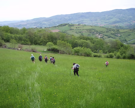 031 On avait dit chemins bien tracés