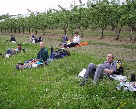049 Pause dans les cerisiers