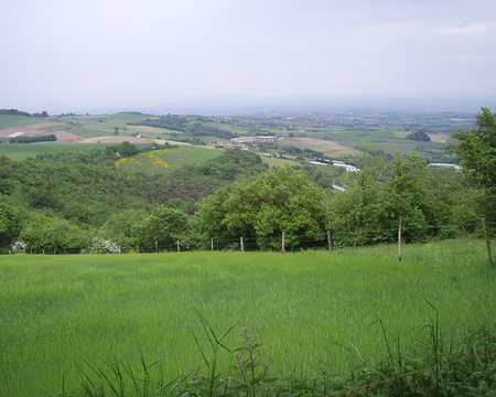 054 Vallée de la Saône