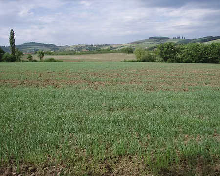 059 Arrivée dans la plaine lyonnaise