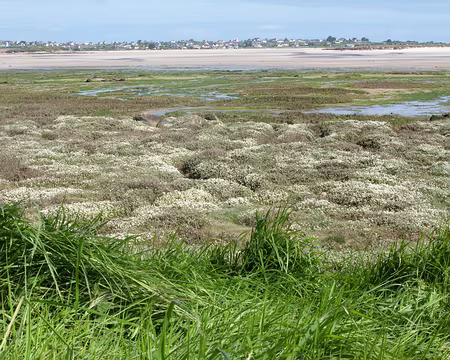 IMG_22 Marécageux mais plus court