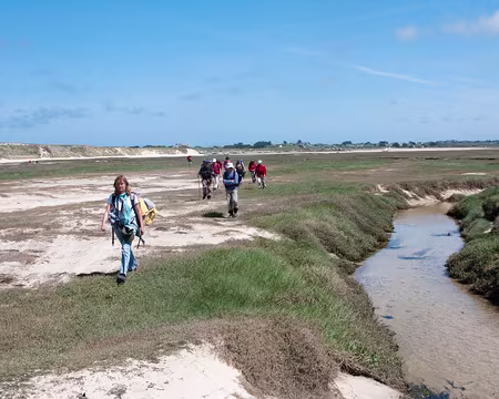 IMG_35 On revient en arrière