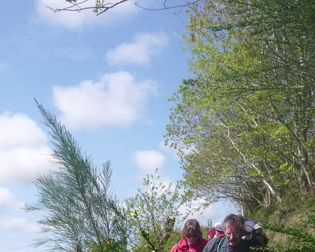 PXL007 dans les genêts