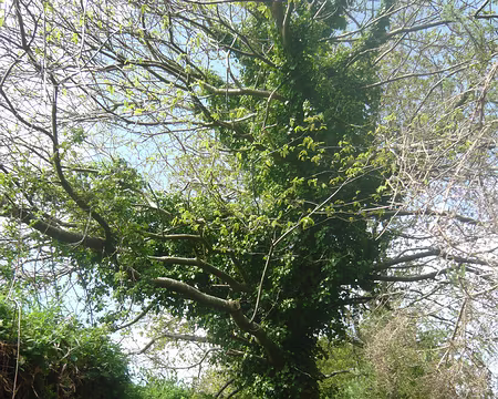 PXL008 dans les chemins creux, Nicole et Alain