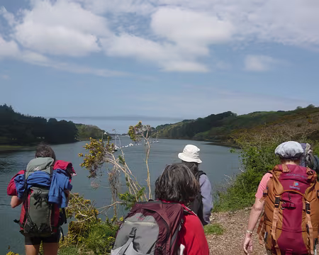 PXL012 les collines sont parsemées d'ajoncs