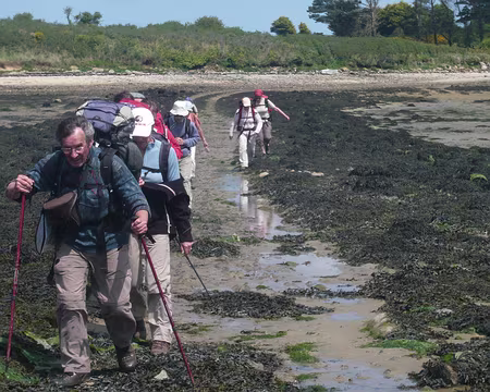 PXL022 A marée basse, chemin de varech vers l'île