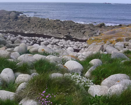 PXL027 des galets comme des oeufs de dinosaure