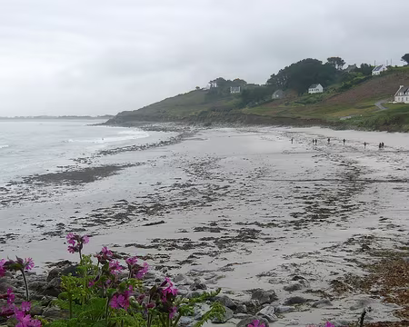 PXL039 Vraiment seuls