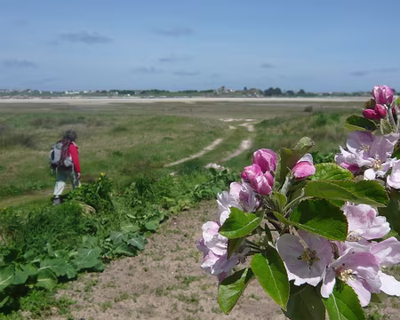PXL086 En allant à Plouescat