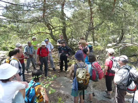 2009-05 Trois Pignons (Fontainebleau)
