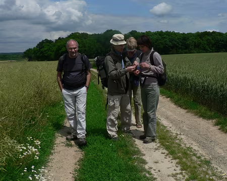 11 Jeu de mains , jeu de plantain lancéolé