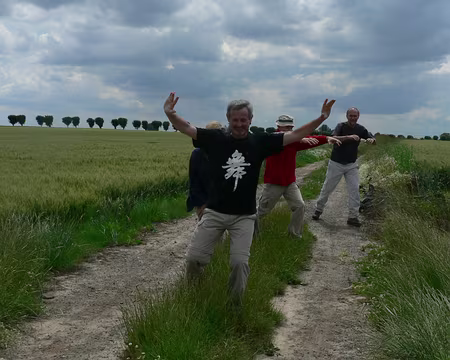 15 Le tigre ou le singe ?