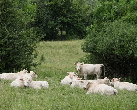 PXL022 Leurs femmes sont venues les soutenir !
