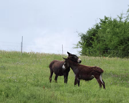 PXL024 Eux, ne sont pas de la famille ...