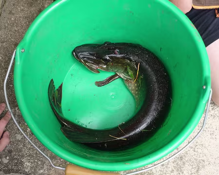 PXL026 on t'avait dit de pas boire toute l'eau, tant pis pour toi ...