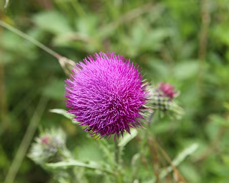 PXL031 Je t'aime un peu ....