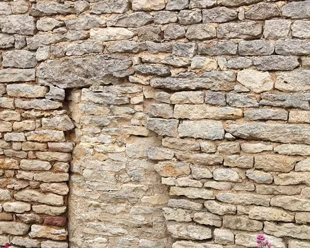 PXL050 ?????????????????