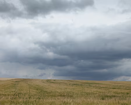 PXL052 plus ou moins gris