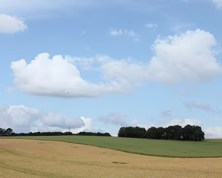 PXL054 discrets pour certains