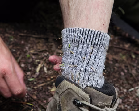 PXL068 Mais à qui donc est ce magnifique mollet ????