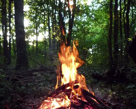 PXL078 Un feu majestueux ...