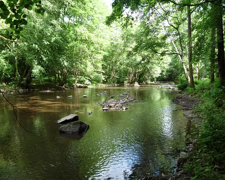 PXL084 La rencontre avec le Cousin ...