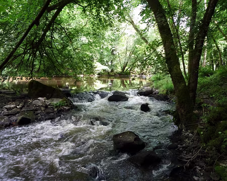 PXL086 largement ombragée ....