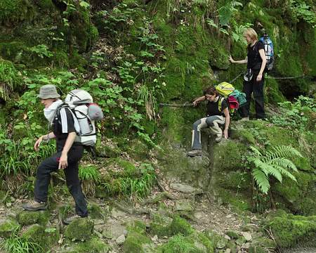 PXL090 en pleine jungle avallonaise !