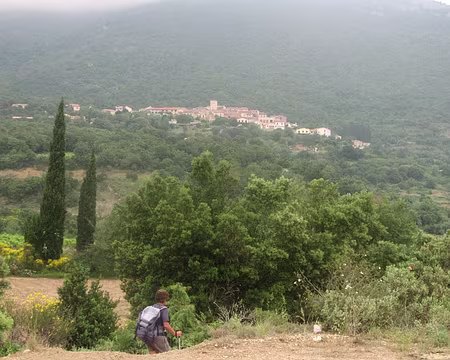 Duilhac sous Peyrepertuse