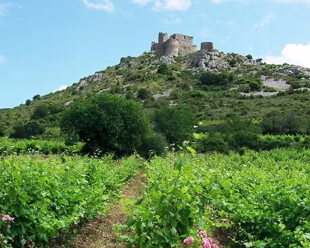 147 Aguilar, notre dernier château