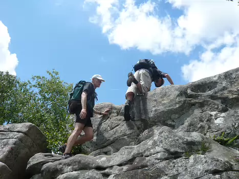 2009-06 Fontainebleau - Recloses