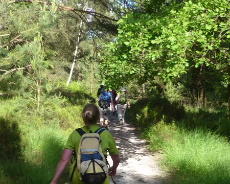 P1030195 Direction Bois-le-Roi