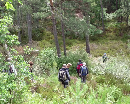 PXL005 Premier petit dénivelé