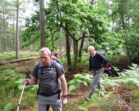 PXL006 Didier et Xavier souffrent en silence .... quel courage :-))