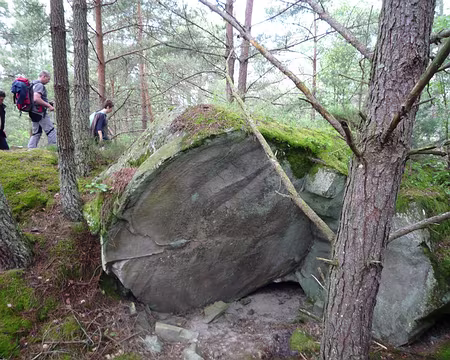 PXL019 ... c'est plus net ici non ???