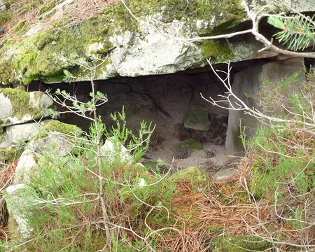 PXL021 ... mais oui, c'est bien un petit abri certainement destiné à entreposer du matériel