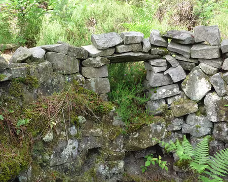 PXL025 ... avec fenêtre sur jardin. Nous décidons d'y faire une pause