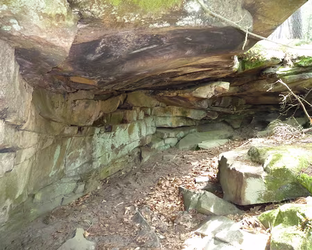 PXL033 Abri naturel, enfin il me semble ....... tu m'arrêtes si je me trompe Didier ...
