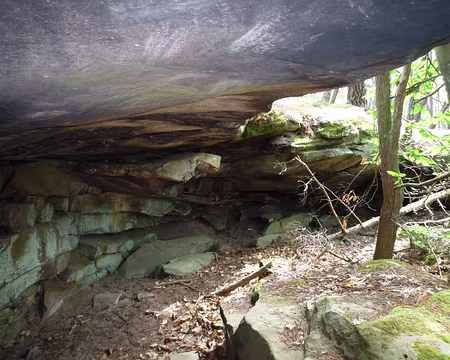 PXL034 Miracle, je tiens debout !