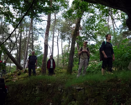 PXL036 Arrêt net, la découverte est stupéfiante ...