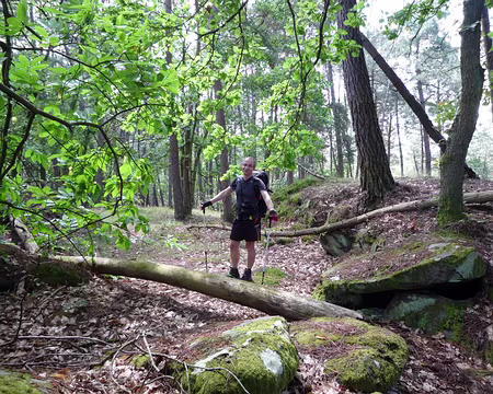 PXL037 ... un René en plein effort !!!