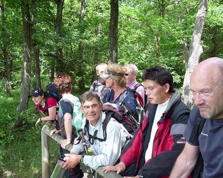 PXL040 ..... Georges nous fait son regard de braise :-))