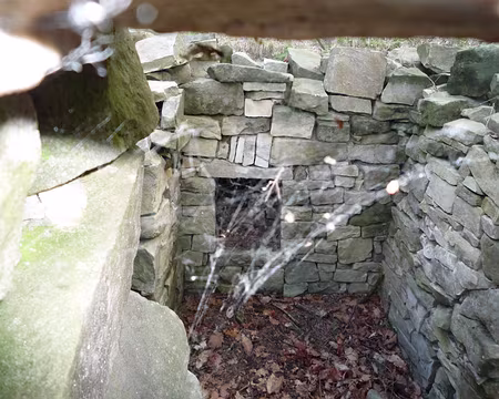 PXL047 Elle est où la femme de ménage que je lui parle du pays ????