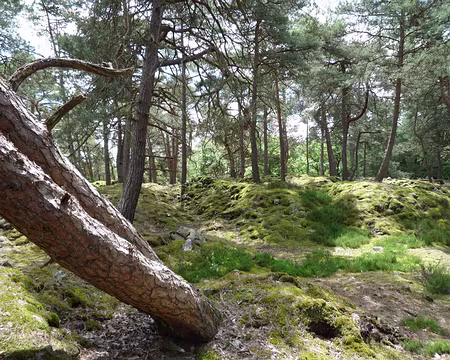 PXL064 Didier, où es-tu ???