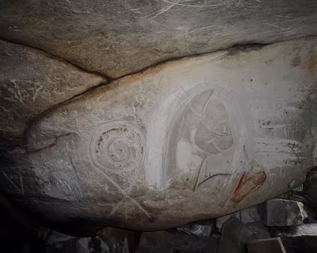 PXL088 Je découvre les trésors de l'abri n°5