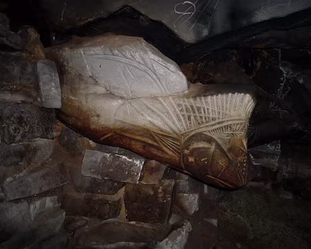 PXL090 un magnifique cheval .....